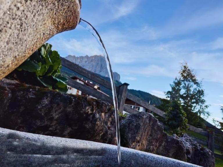 Garni Hotel Iris Sëlva Buitenkant foto