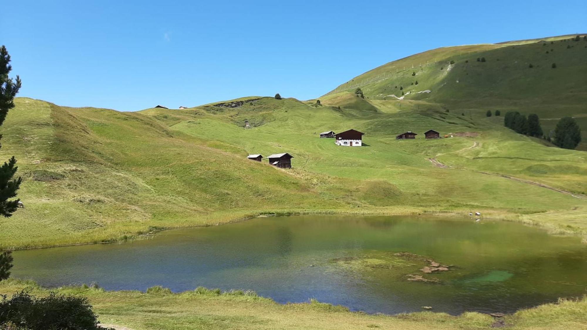 Garni Hotel Iris Sëlva Buitenkant foto