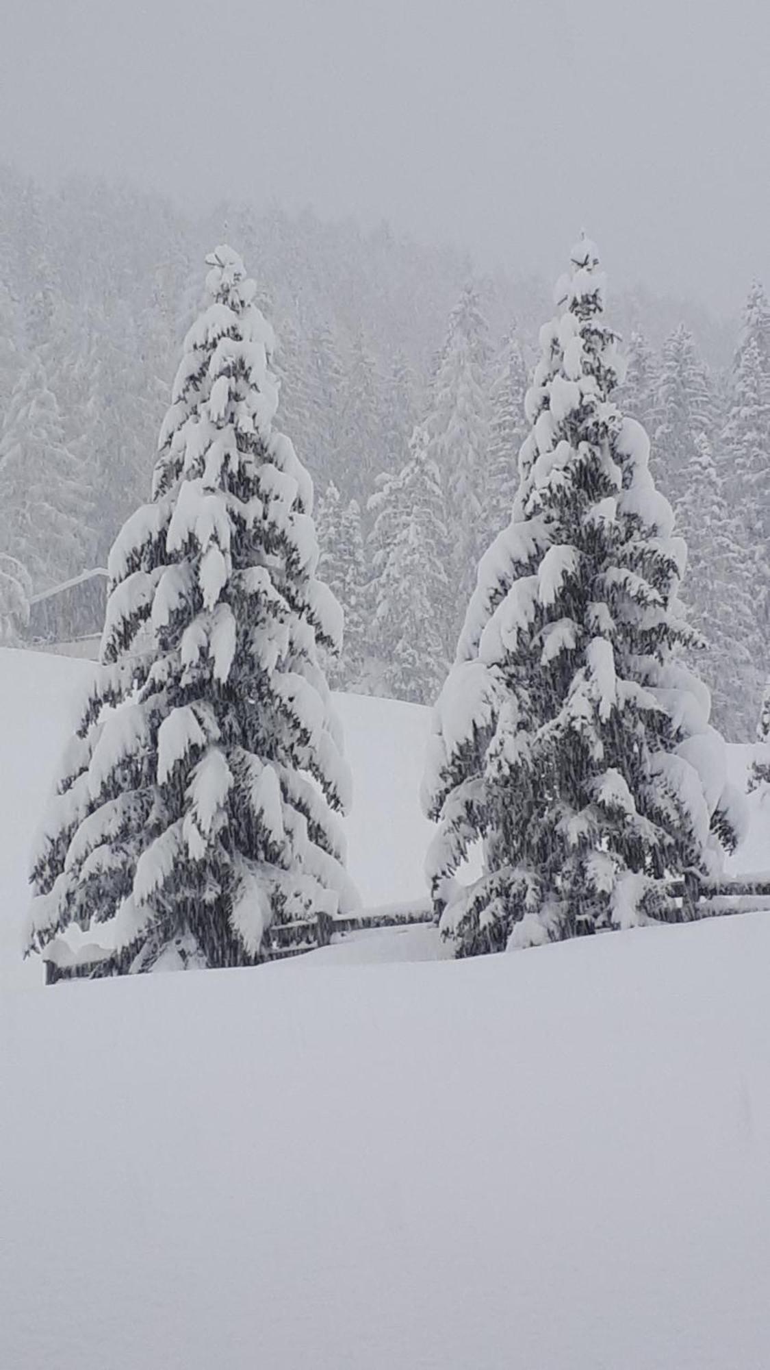 Garni Hotel Iris Sëlva Buitenkant foto